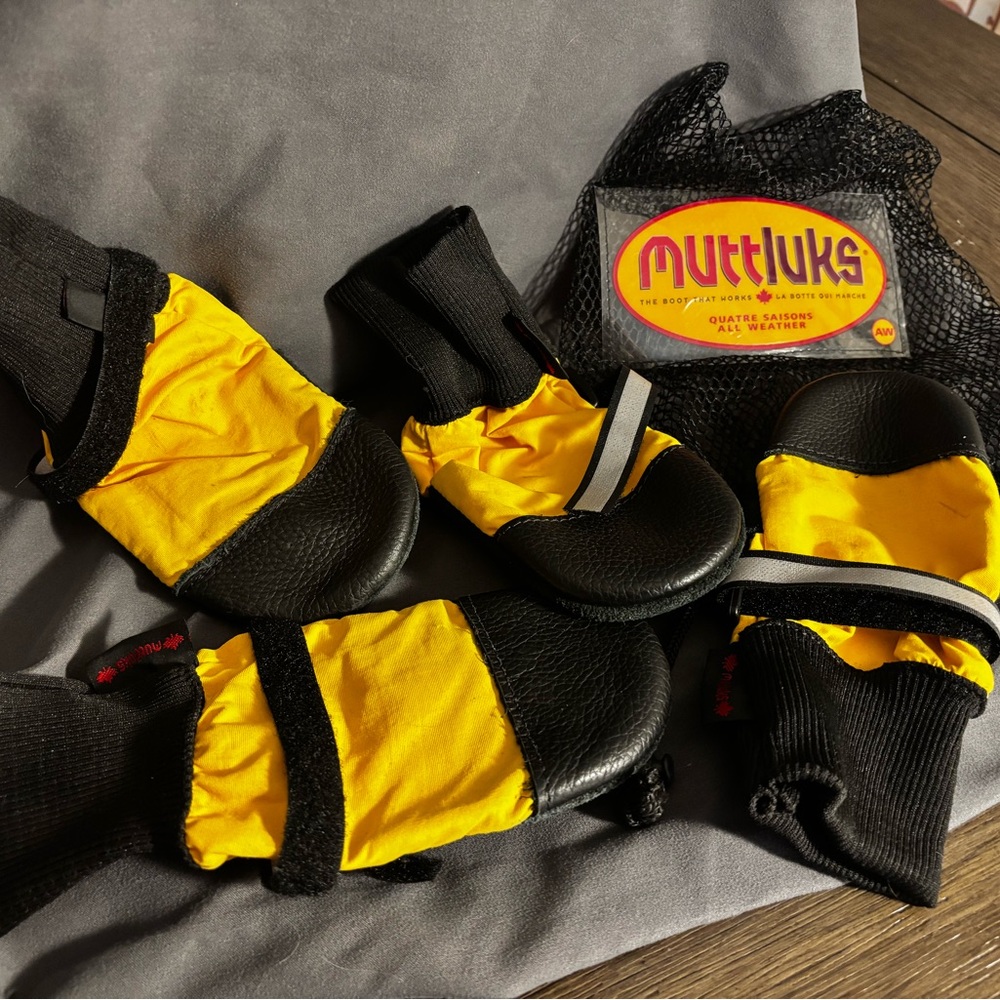 Yellow and Black Dog Boots
